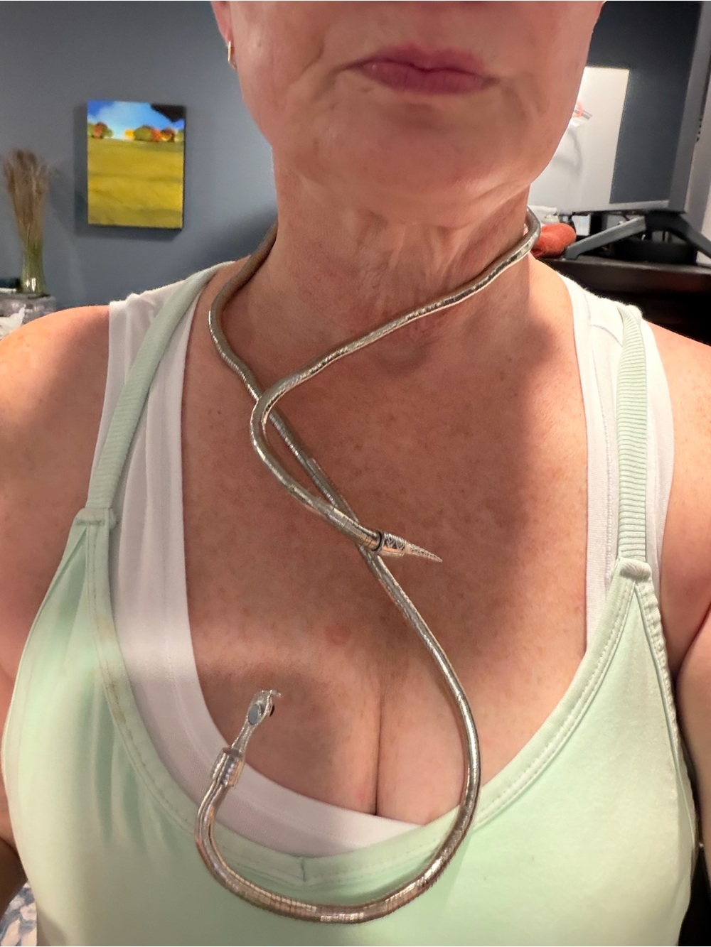 Halloween/costume - Silver-Tone Snake Collar Necklace/arm bracelet